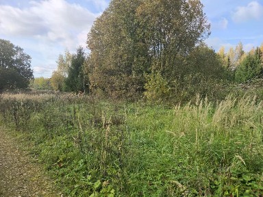 Продается участок, 25 сот.