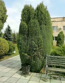 Продается готовый бизнес ⋅ другое, 6 327 м²