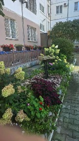 Сдается 1-комн. квартира, 35 м²