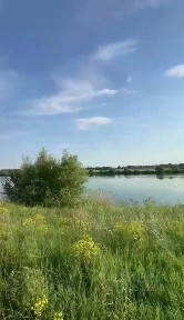 Продается участок, 146,34 сот.