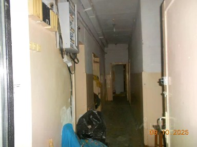 Сдается помещение свободного назначения, 207 м²