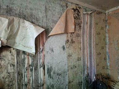 Продается квартира свободной планировки, 29,2 м²