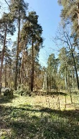Продается участок, 23 сот.