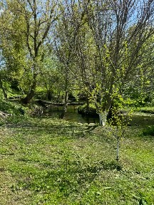 Продается дом, 15 м²