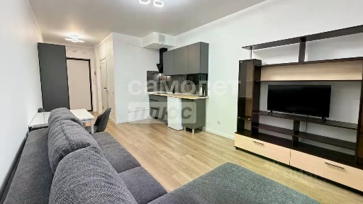 Сдается студия, 23,1 м²