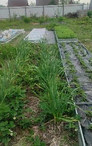 Продается участок, 12 сот.