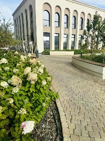 Сдается студия, 25 м²