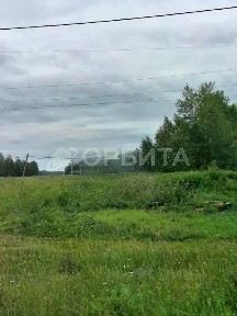 Тюменская область, Тюменский муниципальный округ, Червишево село, проезд Энергетиков