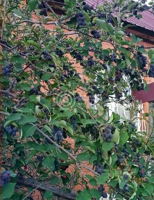 Продается 1-этажный дом, 156,6 м²