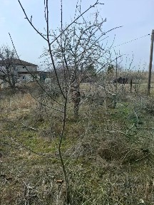 Продается дом, 50 м²