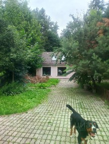 Сдается 2-этажный дом, 27 м²