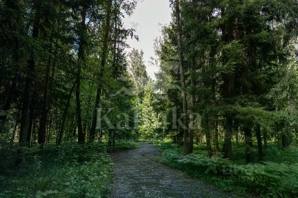 Продается участок, 80 сот.