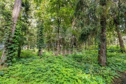 Продается участок, 50 сот.