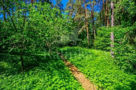 Продается участок, 37,63 сот.