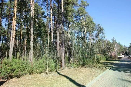 Продается участок, 82 сот.