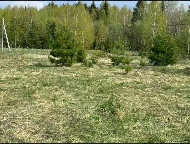 Продается участок, 19 сот.