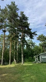 Сдается 1-этажный дом, 60 м²