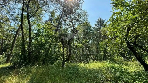 Продается участок, 96 сот.