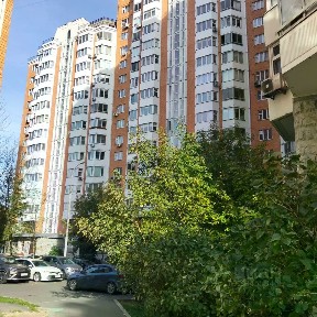 Москва, ЮАО, р-н Москворечье-Сабурово, ул. Борисовские Пруды, 17к1