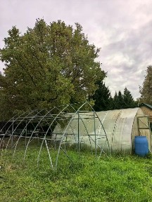 Московская область, Волоколамский муниципальный округ, Отрадное-36 садовое товарищество, 113