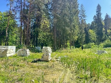 Продается участок, 160 сот.