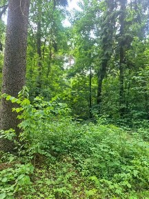 Московская область, Люберцы городской округ, Малаховка пгт, ул. Калинина, 3