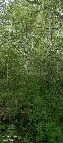 Продается участок, 15 сот.