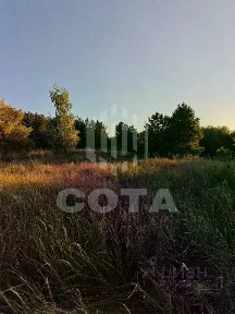 Воронежская область, Павловский район, Покровское с/пос, Ступино хутор, 1