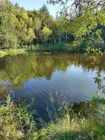 Продается 2-этажный дом, 36 м²