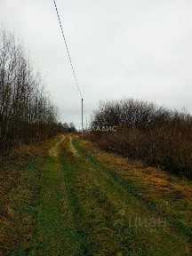 Владимирская область, Доброград муниципальный округ, Дмитриево деревня