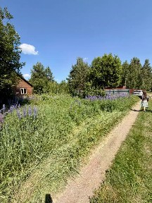 Продается 1-этажный дом, 40 м²