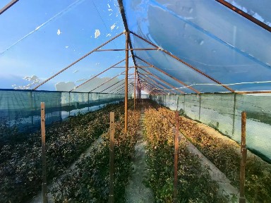 Продается готовый бизнес, 25 000 м²