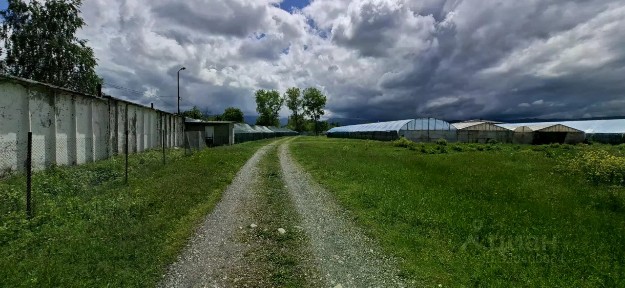 Продается готовый бизнес ⋅ ферма, 300 000 м²