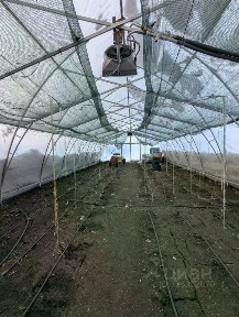 Продается готовый бизнес ⋅ ферма, 210 м²