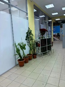 Сдается помещение свободного назначения, 15 м²