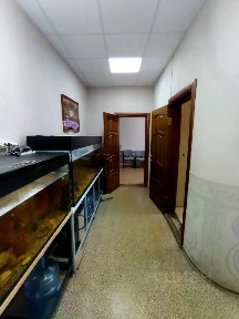 Сдается офис, 85 м²