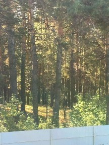 Сдается 1-этажный дом, 60 м²