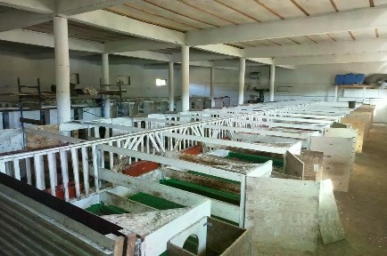 Продается готовый бизнес ⋅ ферма, 2 000 м²