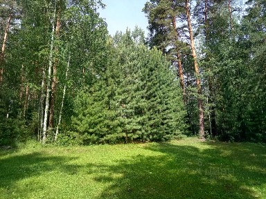 Сдается 2-этажный дом, 72 м²