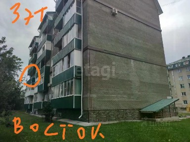 Алтай респ., Майминский район, Майма село, ул. Березовая роща