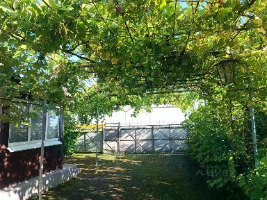 Сдается 1-этажный дом, 46,3 м²
