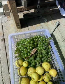 Продается 1-этажный дом, 64,5 м²