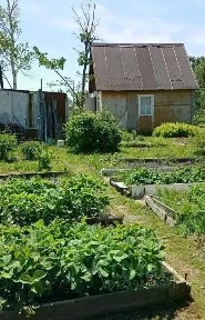 Продается дом, 20 м²