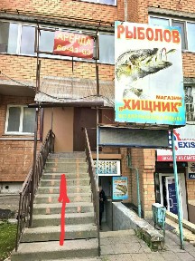 Сдается помещение свободного назначения, 67,3 м²