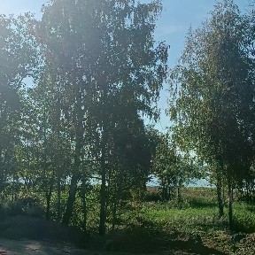 Продается готовый бизнес ⋅ другое, 5 500 м²