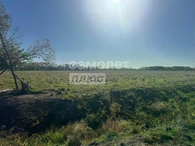 Продается участок, 514,54 сот.