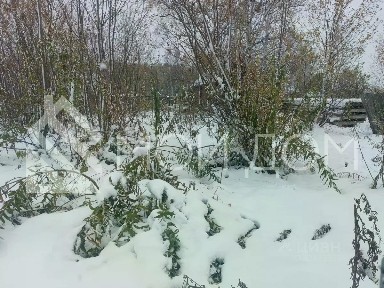 Сахалинская область, Тымовское пгт