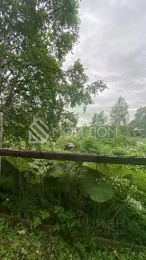Сахалинская область, Южно-Сахалинск, Березовая Роща СНТ