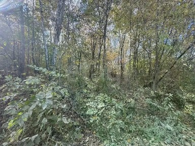 Продается участок, 330 сот.