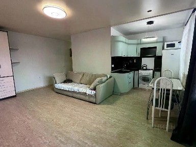 Сдается квартира свободной планировки, 31 м²